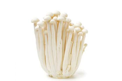 Snow White Mushroom 白雪菇（VIP会员价：RM2.60）